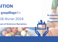 Reprise du texte de l'actu, QR code vers le site de Gaspilag