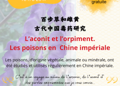 INSTITUT CONFUCIUS