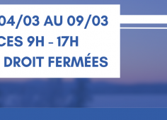 Reprise du texte de l'actu
