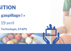 Exposition Gaspillage, reprise du texte, en fond image de collecte de nourriture