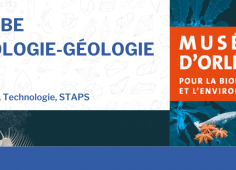 Affiche du museum avec le texte MOBEL Collections Biologie-géologie