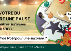 Reprise du texte de l'actu, décoration festive