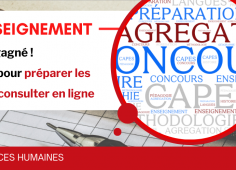 Reprise du texte de l'actu, Nuage de mots autours des concours