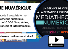 Captures d'écran de la plateforme, reprise du texte de l'actu