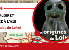 Affiche de l'exposition