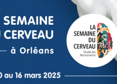 Semaine cerveau 2025