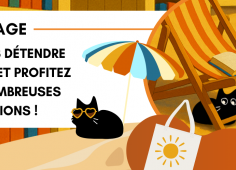 BU Plage Reprise du texte de l'actu, dessin de plage avec des chats noirs