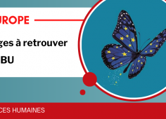 Reprise du texte de l'actu, affiche du Joli mois de l'Europe avec un papillon aux ailes aux couleurs de l'Europe