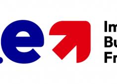 International_VIE_Business-France