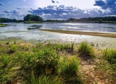 paysage Loire