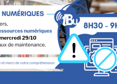Indisponibilité des ressources numériques
