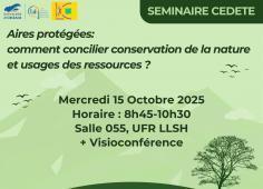 programme affiche