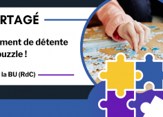 Reprise du texte de l'actu, photo d'un puzzle