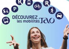 Tao tour Story 2_carrousel2