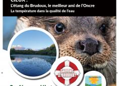 Affiche conférence