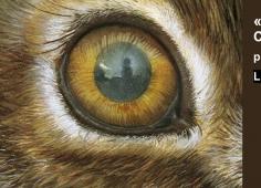 Bannière anthropique