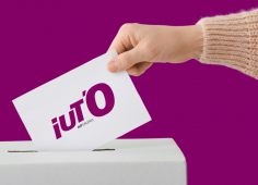 Elections IUT