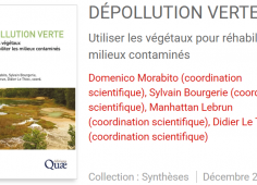 Dépollution verte