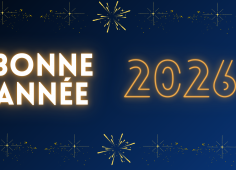 banniere nouvelle an 2026 llsh