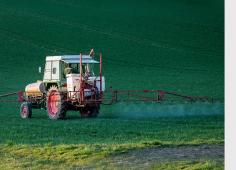 nouveau membre au CEDETE