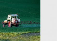 nouveau membre au CEDETE