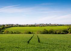 Découvrir le Master GAED