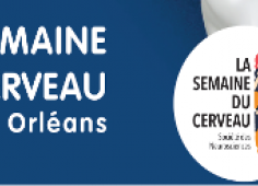 semaine cerveau
