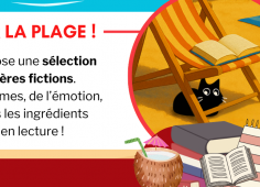 Reprise du texte de l'actu, image d'un chat à la place sous un transat