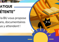 Reprise du texte de l'actu, image d'un chat à la place sous un transat
