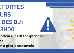 Reprise du texte de l'actu