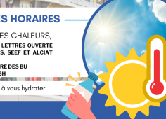 Reprise du texte de l'actu