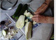 article fourchette et fricassée