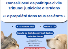 La propriété dans tous ses états