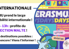 Reprise du texte de l'actu