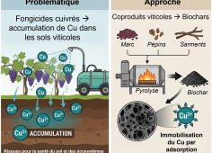 Image publicité