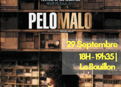 projection pelomalo 29/10 