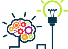 Visuel cerveau Visuel cerveau