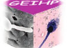 GEIHP