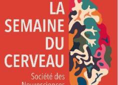 Semaine du cerveau 2021 Semaine du cerveau 2021