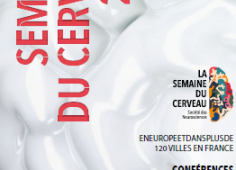 Semaine du Cerveau