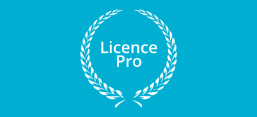 Licence pro