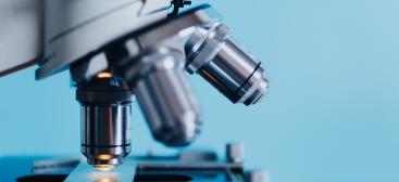 Microscope