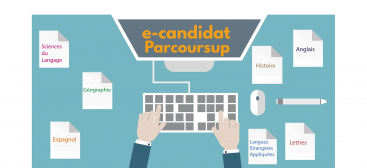 image vectorielle recherche sur ordinateur