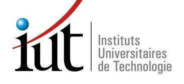 Logo National IUT