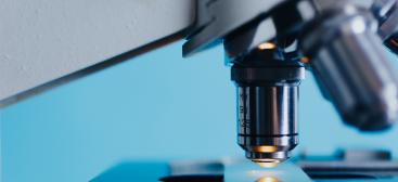 microscope gros plan