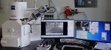 Observation au microscope éléctronique à balayage