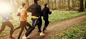 Sportifs en train de courir dans les bois