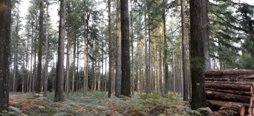  OSUC -LP forêts