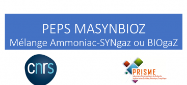 MASYNBIOZ