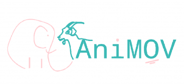 logo-animov